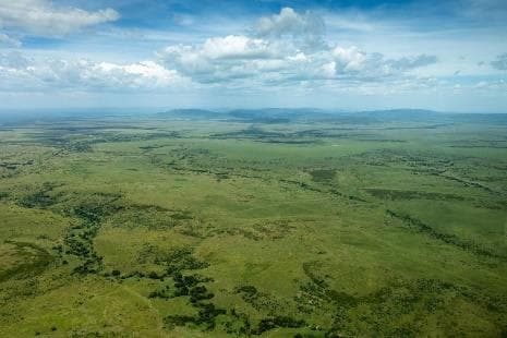 Day 4: Lake Naivasha to Lake Nakuru National Park photo 3