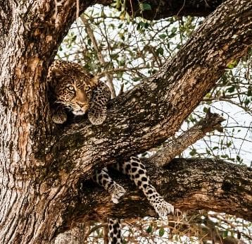 Day 2: Nairobi to Maasai Mara National Reserve photo 1