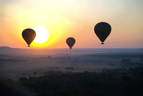Day 3: Full Day Maasai Mara Safari photo 2
