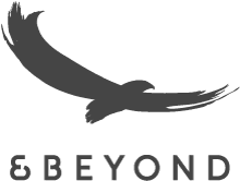 &Beyond Logo