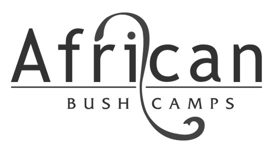 African Bush Camps