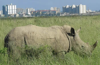 Nairobi Excursions