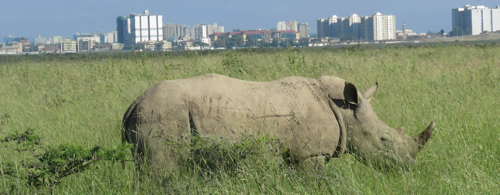 Nairobi Excursions