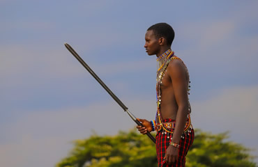 Maasai Warrior