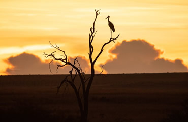 Magnificent Sunset